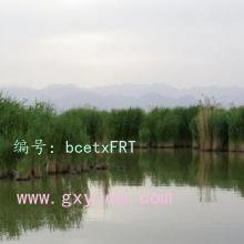ҵ