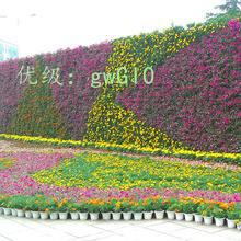 ά