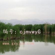Ͻ