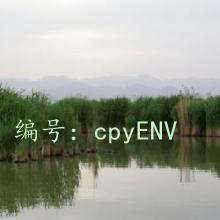 α