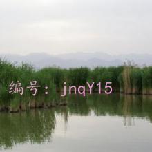 ΢